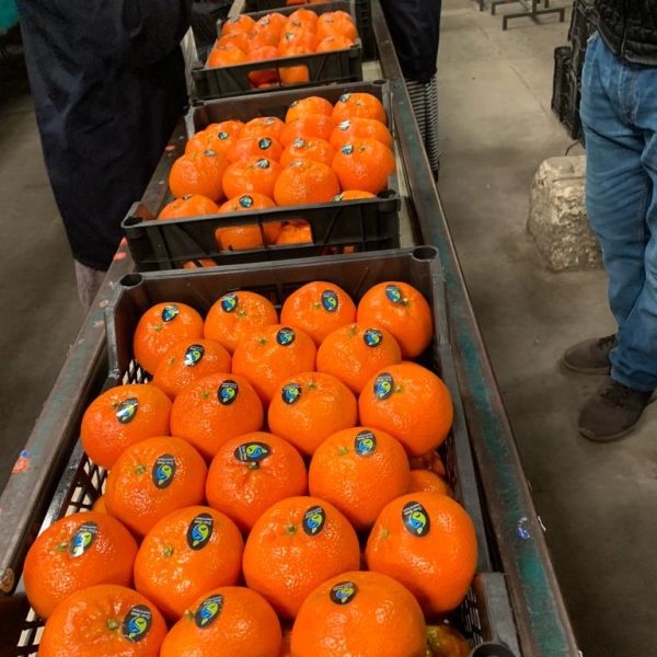 WhatsApp Image 2023-07-22 at 2.58.47 PM (1)