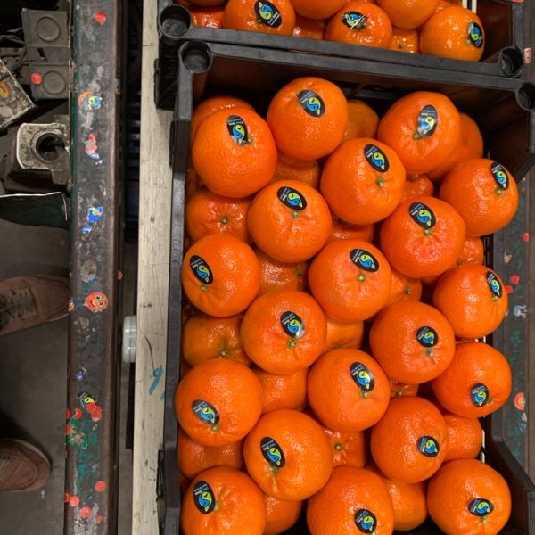 WhatsApp Image 2023-07-22 at 2.58.47 PM (2)