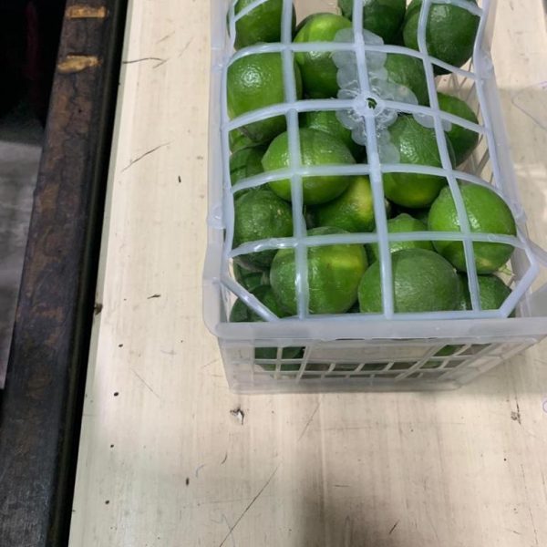 WhatsApp Image 2023-07-22 at 2.58.47 PM