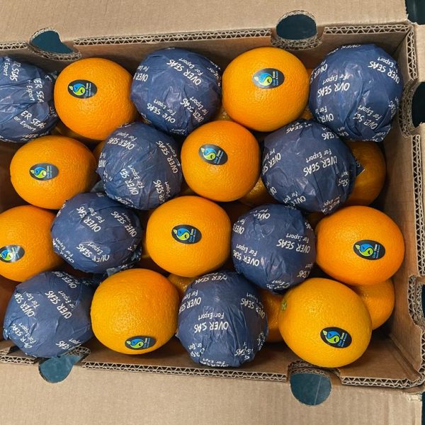 WhatsApp Image 2023-07-22 at 2.58.48 PM (1)