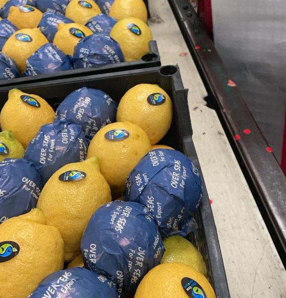 WhatsApp Image 2023-07-22 at 2.58.48 PM (2)