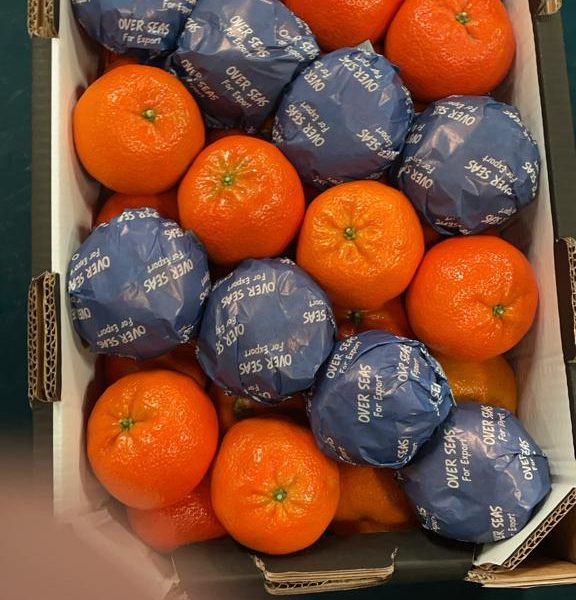 WhatsApp Image 2023-07-22 at 2.58.48 PM (3)