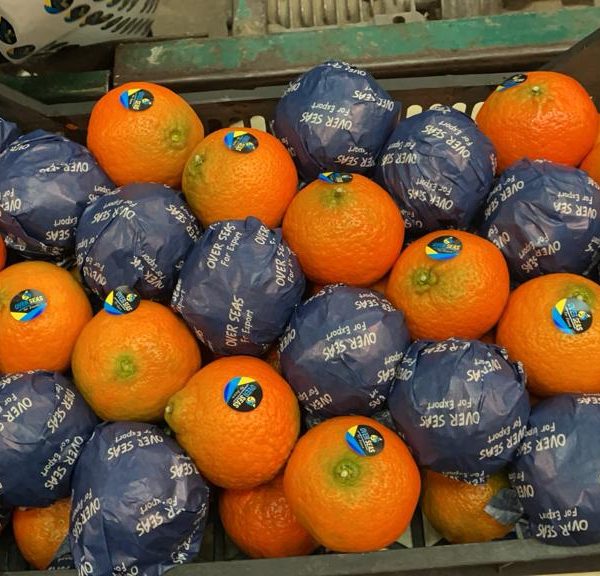 WhatsApp Image 2023-07-22 at 2.58.48 PM (4)