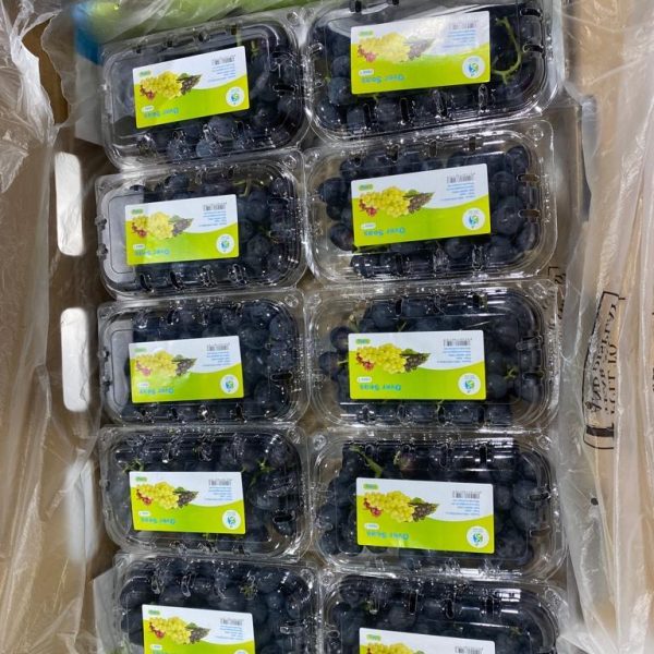 WhatsApp Image 2023-07-22 at 2.58.48 PM (5)