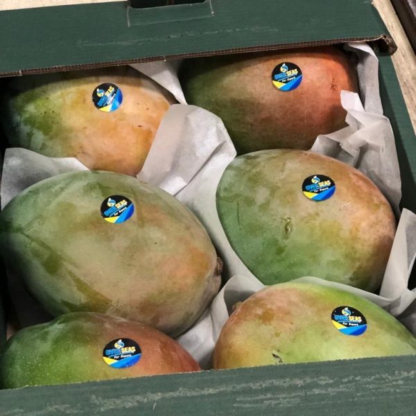 WhatsApp Image 2023-07-22 at 2.58.48 PM (6)