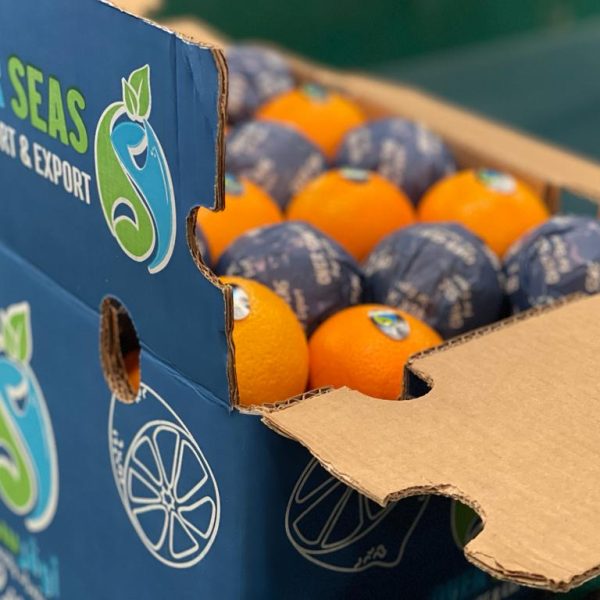 WhatsApp Image 2023-07-22 at 2.58.48 PM