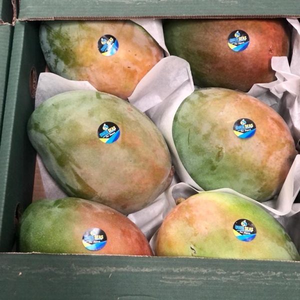 WhatsApp Image 2023-07-22 at 2.58.48 PM (7)