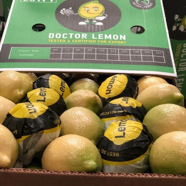 WhatsApp Image 2023-07-22 at 2.58.51 PM (1)