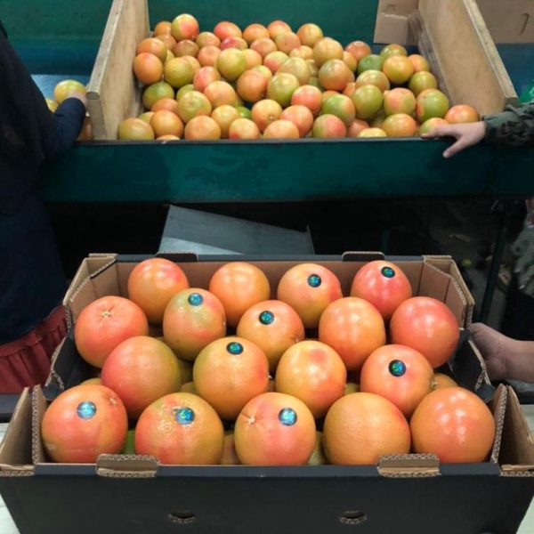 WhatsApp Image 2023-07-22 at 2.58.51 PM (2)