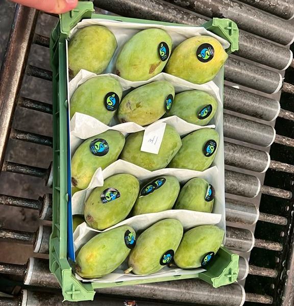 WhatsApp Image 2023-07-22 at 2.58.51 PM